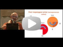 6. Семь привычек людей стремящихся к успеху