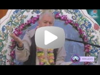 ШБ 7.7.23 Отвращение к чувственным удовольствиям